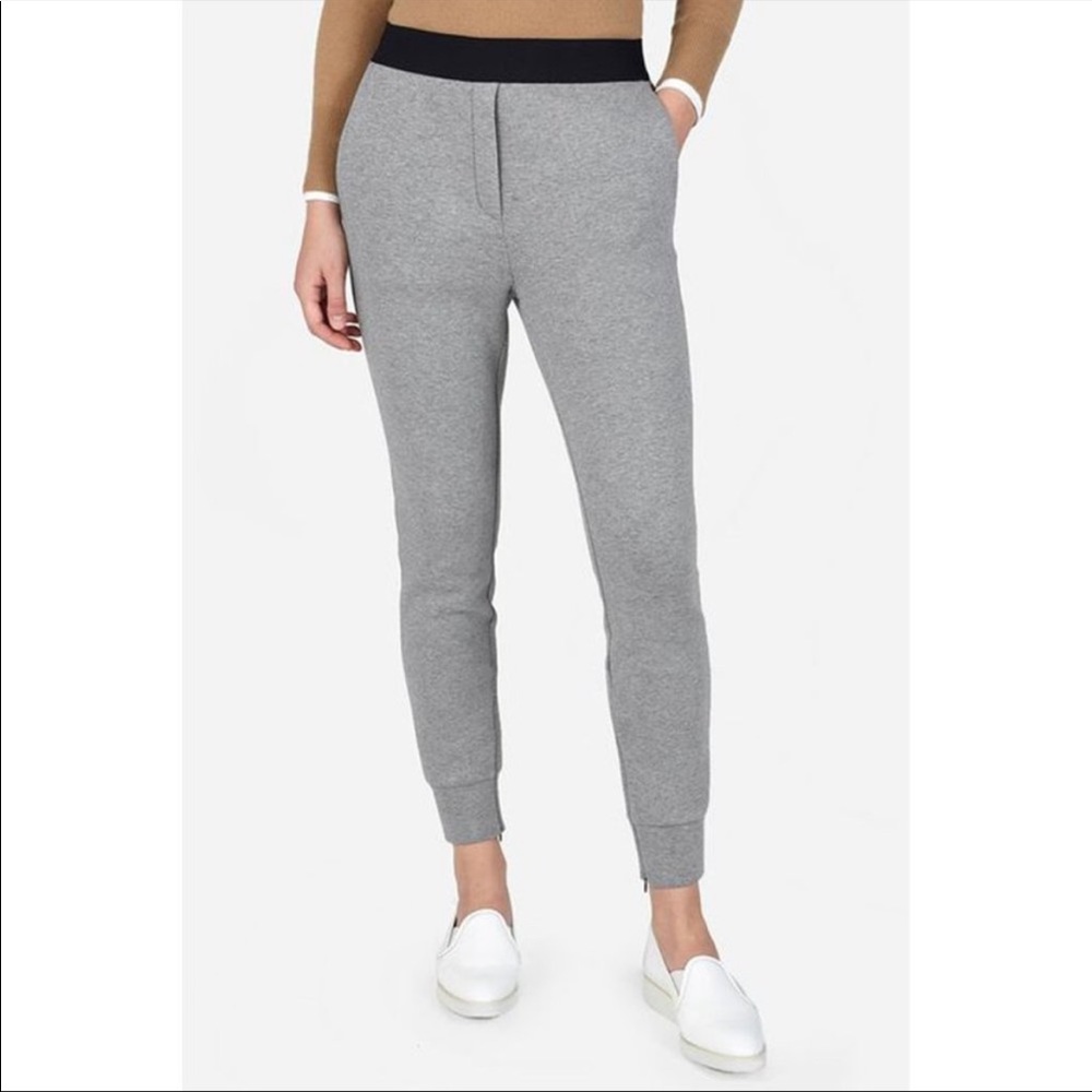 Everlane Street Fleece Neoprene Joggers Pants Zip Ankle Elastic Waist Gray